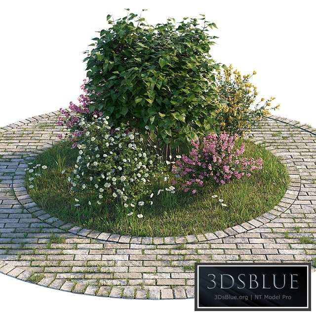 Flowerbed with bushes and grass