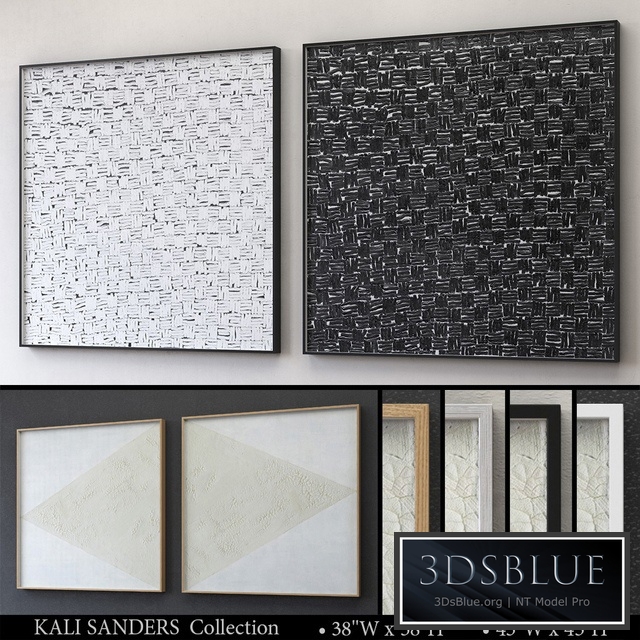 KALI SANDERS FOR GENERAL PUBLIC