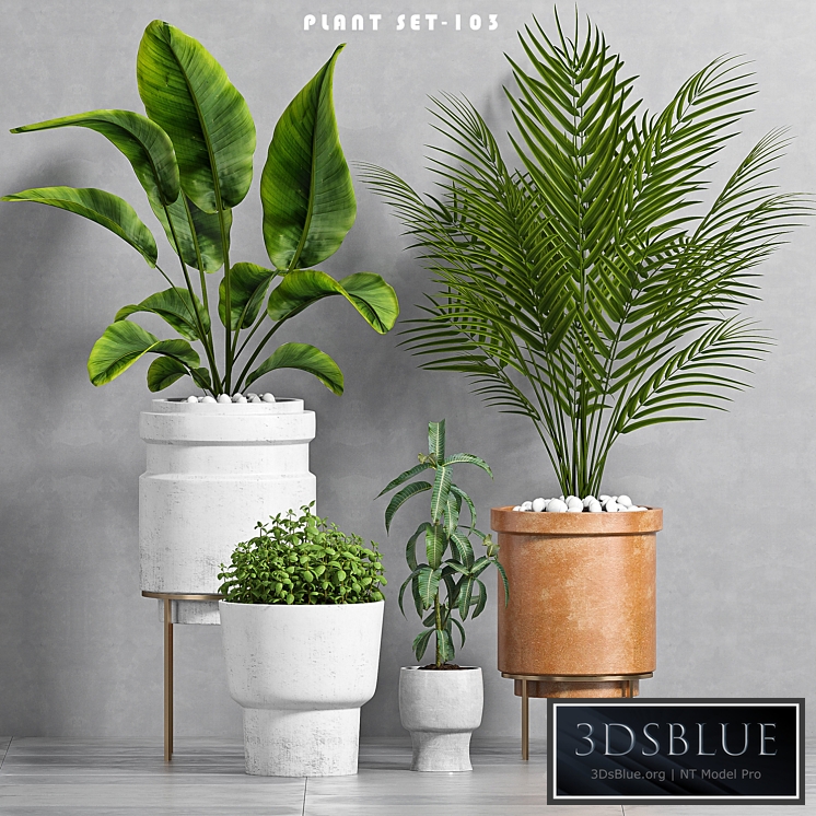 PLANT SET -103
