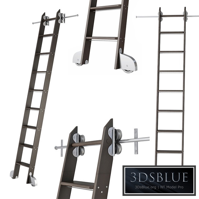 Ladder for home library