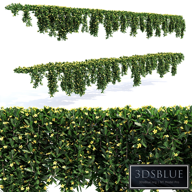 Hanging Plant - 14 Modular Pieces