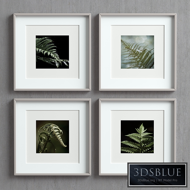 Picture Frames Set-50