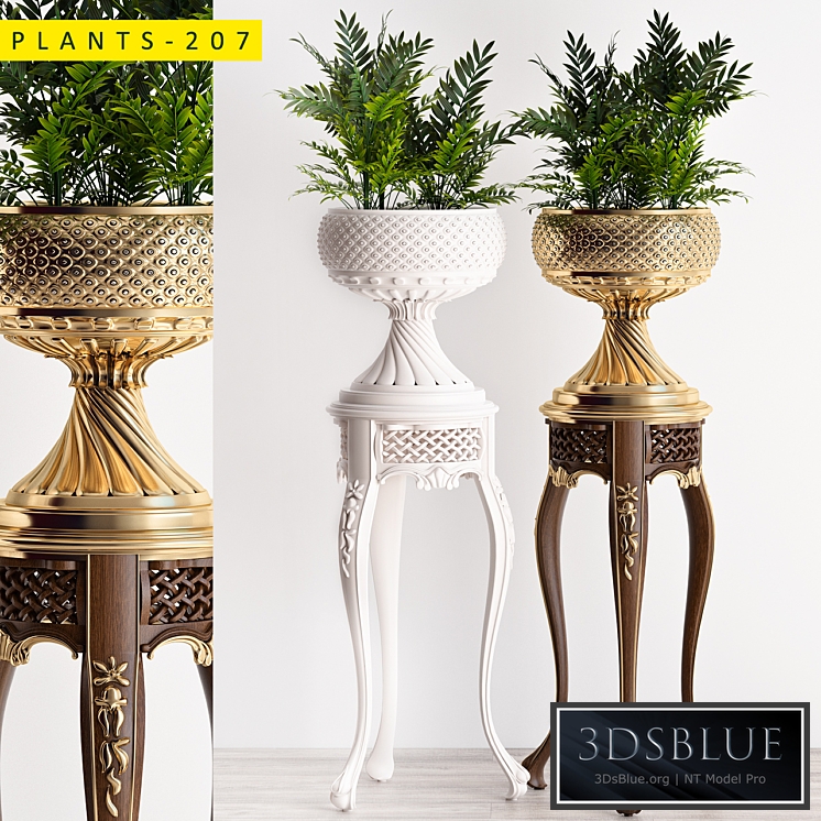 Plants 207