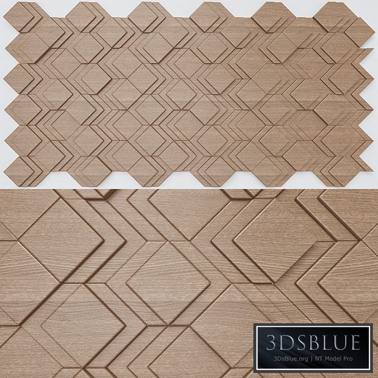 Atelier anthony roussel