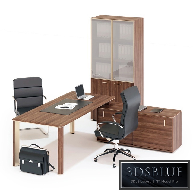 LAS LULIO Executive Desk