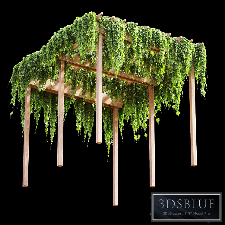 Pergola with grape leaves v2