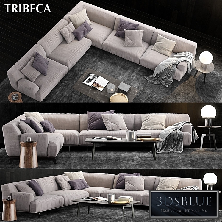 Poliform Tribeca Sofa 3