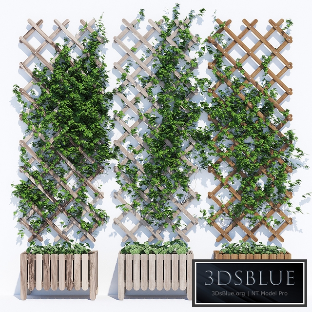 Collection of Modern Track LightsAS