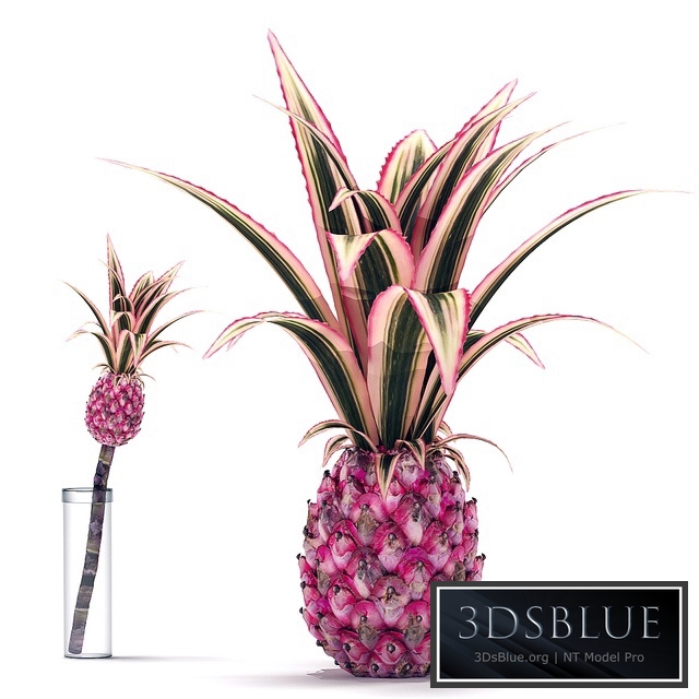 Decorative Pink Pineapple