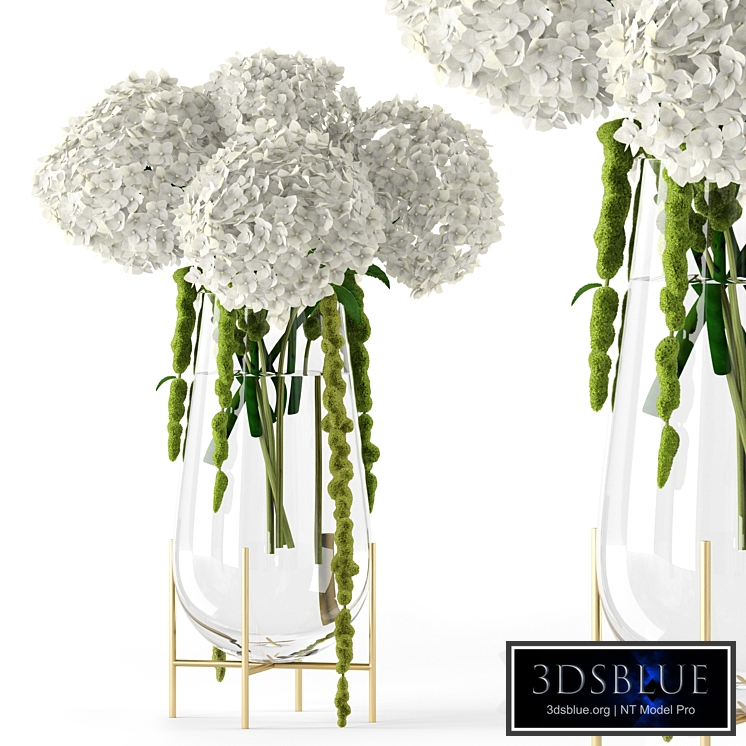 Amaranthus and Hyndrangea