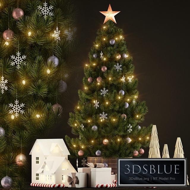 Plants collection 135 christmas tree