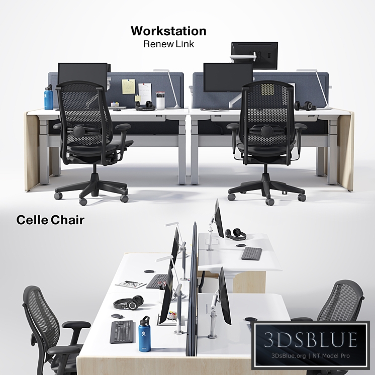 Renew Link Workstation & Celle chair