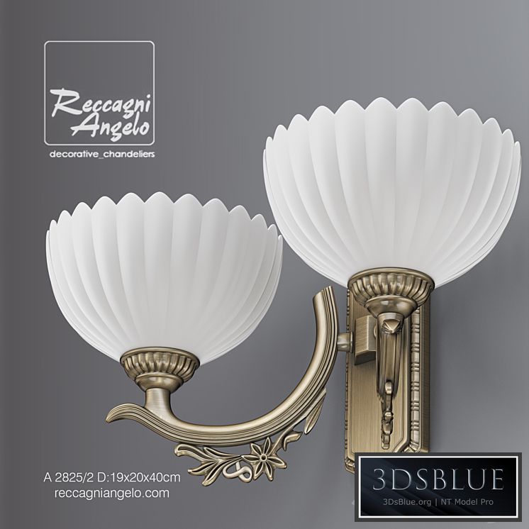 RECCAGNI ANGELO A 2825/2