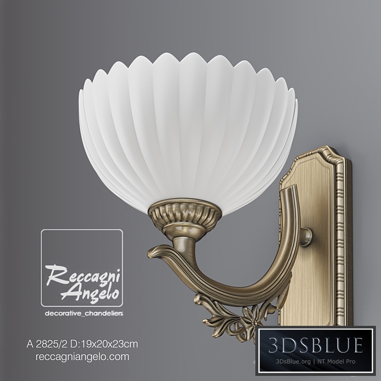 RECCAGNI ANGELO A 2825/1