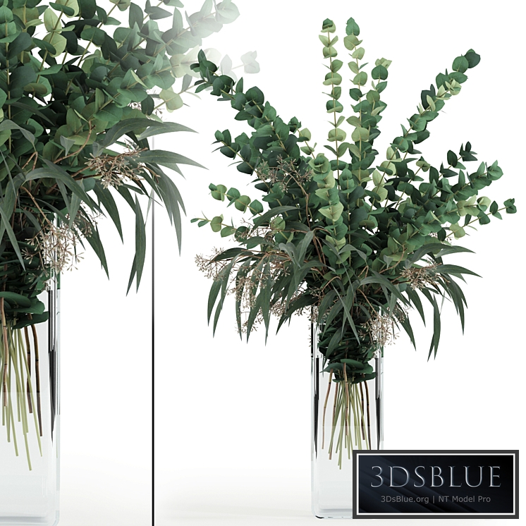 Eucalyptus in tall vase