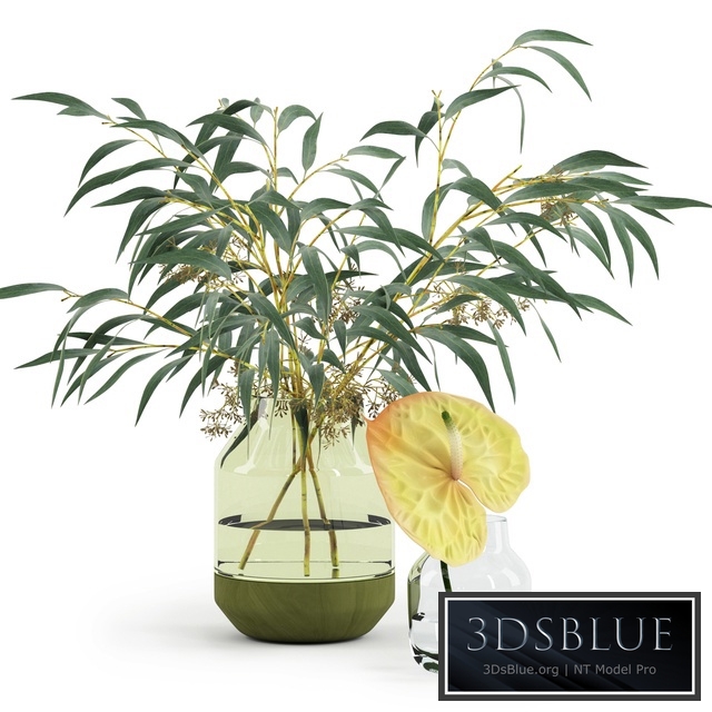 Eucalyptus & Anthurium in Muuto&#39;s vases