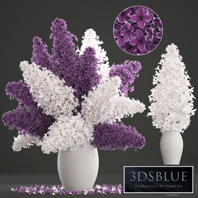 A bouquet of flowers 80. White lilac, vase, decor, table decoration, eco design, natural decor