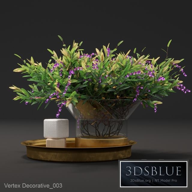 Vertex Decorative_003