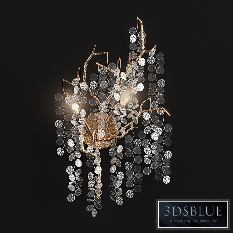 John Richard Shiro bra