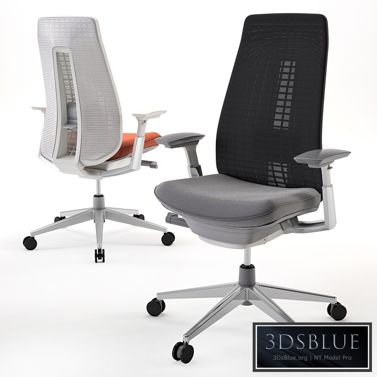 Office chair Haworth Fern