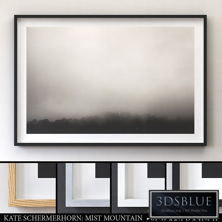 KATE SCHERMERHORN: MIST MOUNTAIN