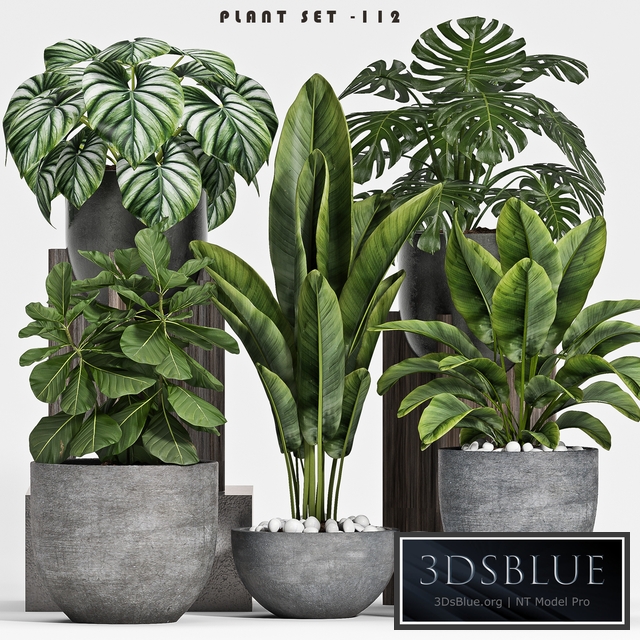 plant set-112