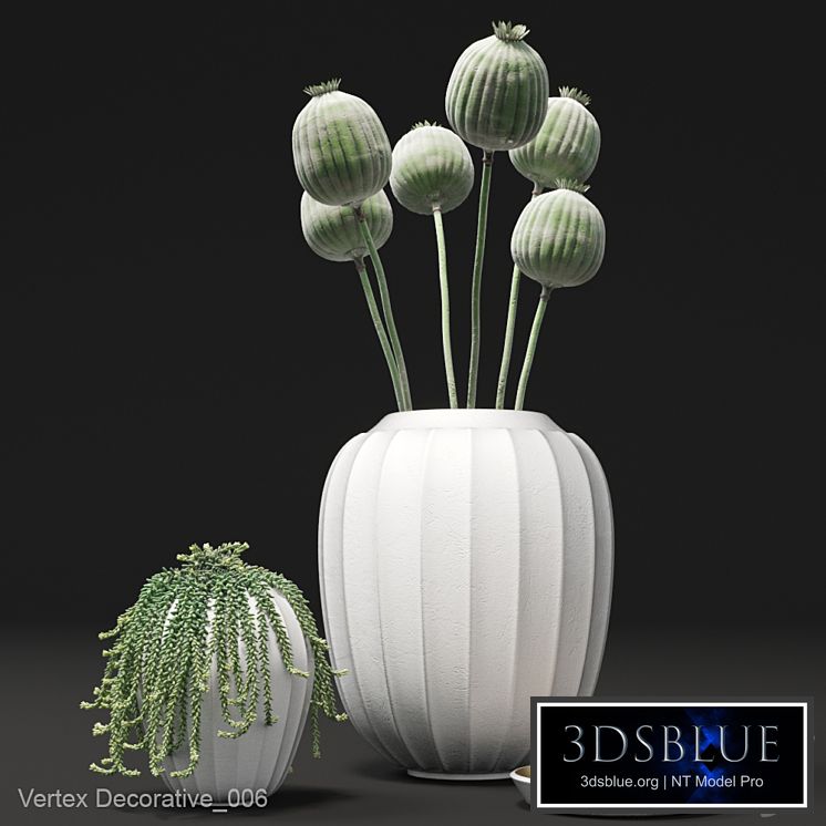 Vertex Decorative_006