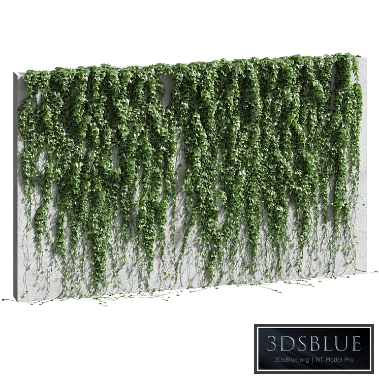 Ivy for the fence v2