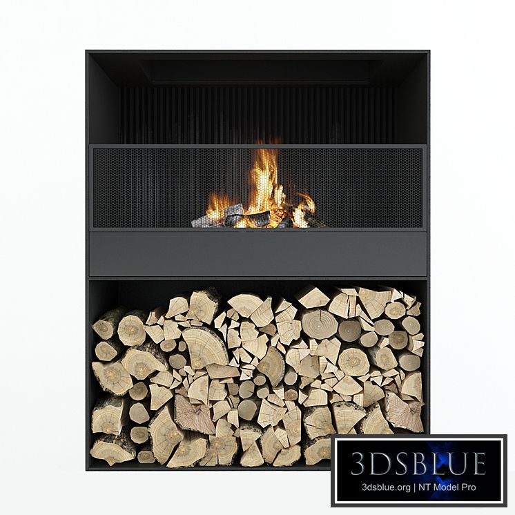 Fireplace modern