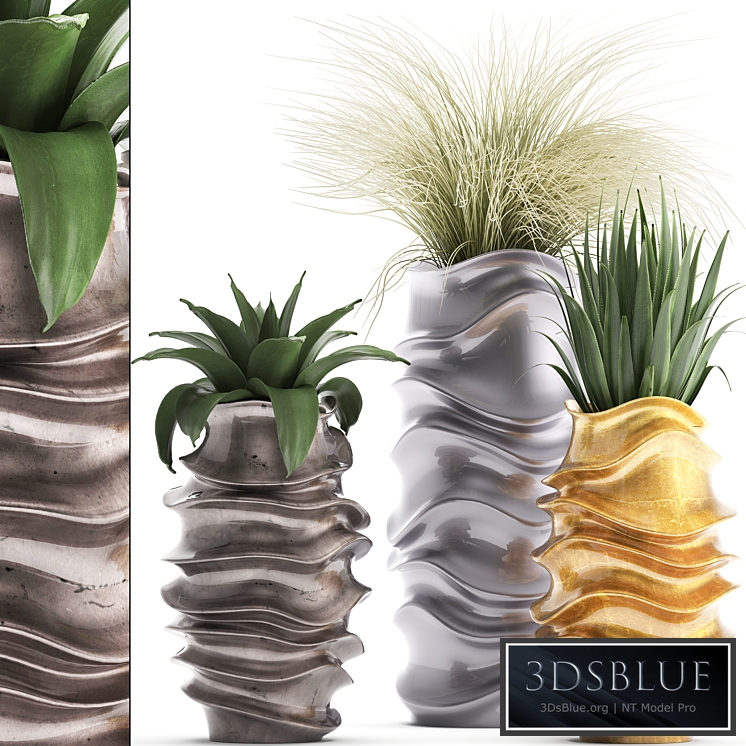 Plant collection 289. luxury flowerpot, pot, grass, agave, interior plants, luxury decor