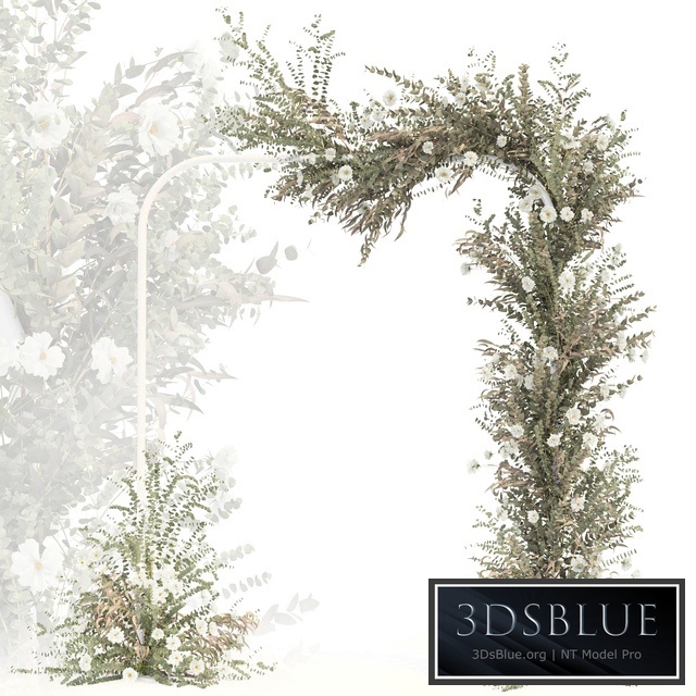 Wedding Arch contest