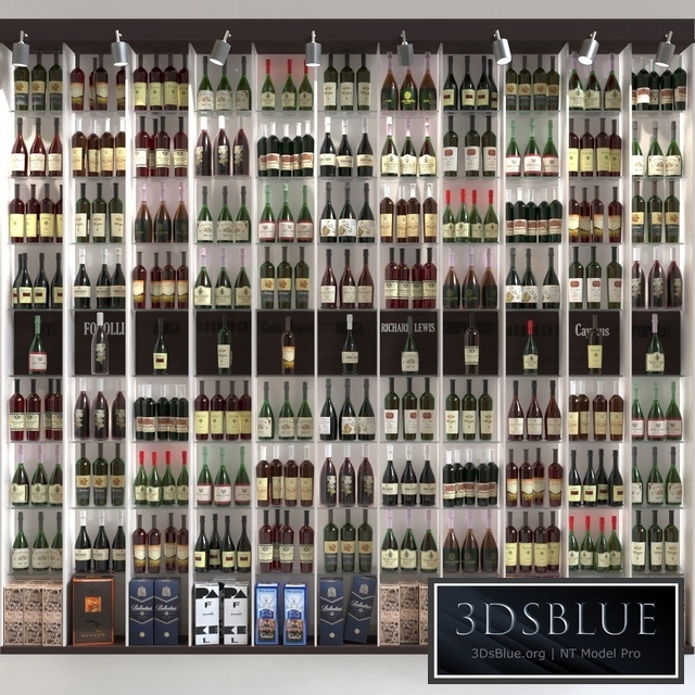 Large wine cabinet with collection wine. Alcohol