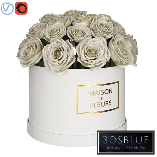 White roses in box