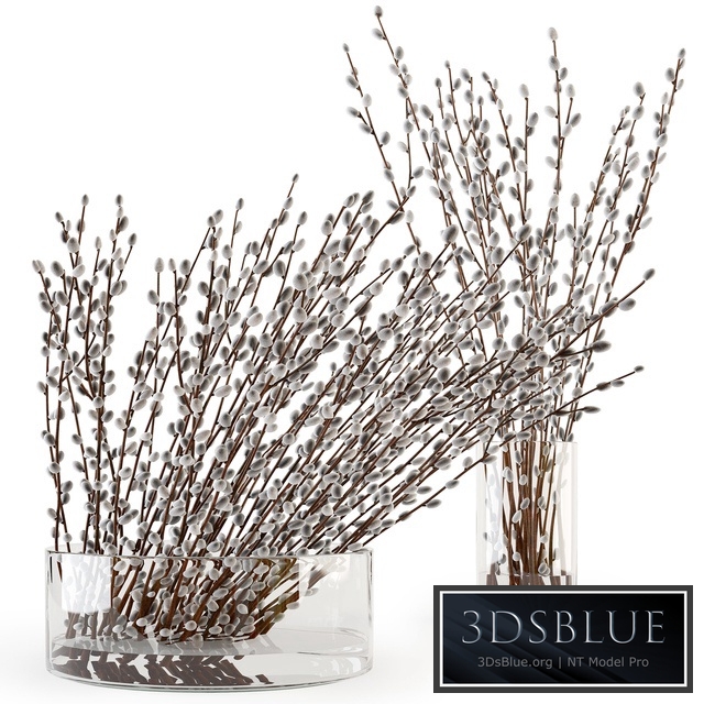 Branches in a vase 006