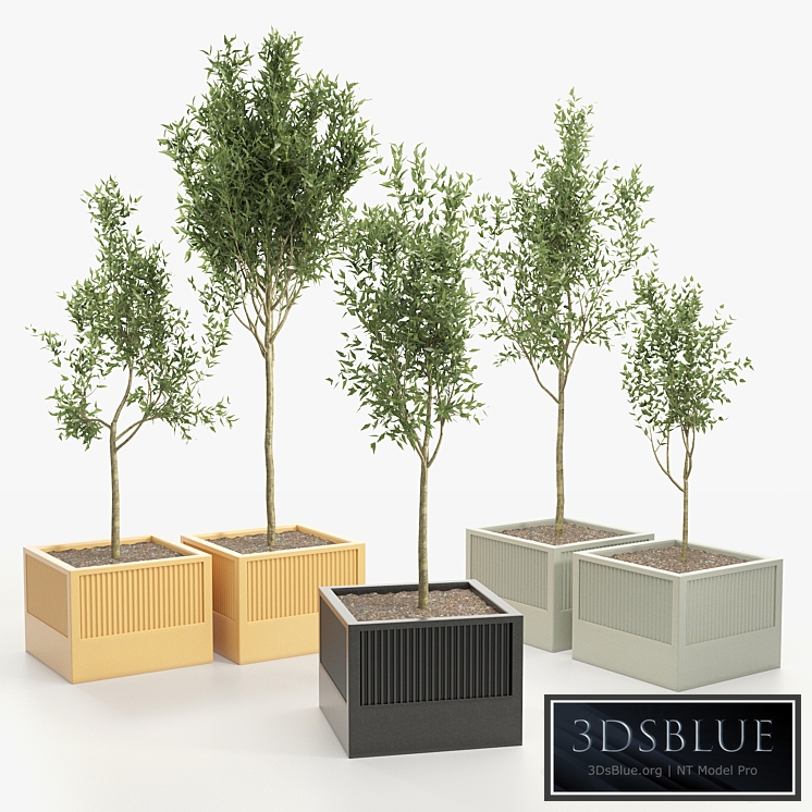 ICARIA BY ESTEVE BONELL