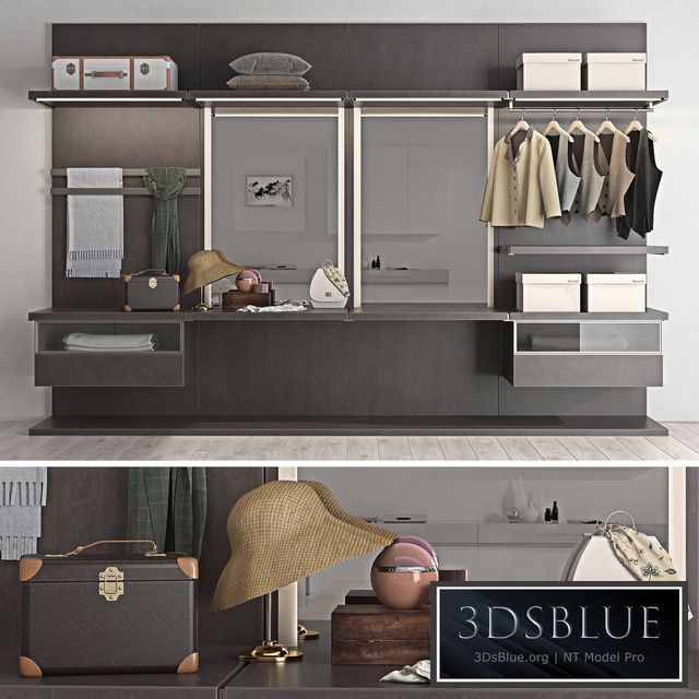 Wardrobe Molteni & C / Dada