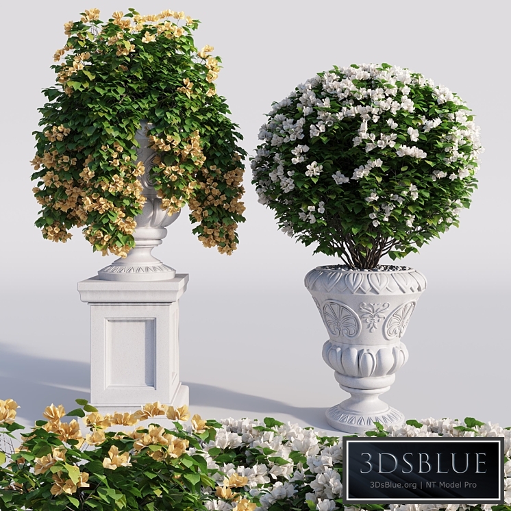 Bougainvillea planter set.