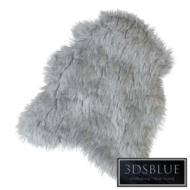 Skin dlinnovorstnaya