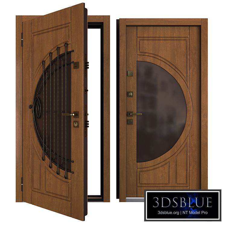 The entrance metal door Harp (Your Frame)