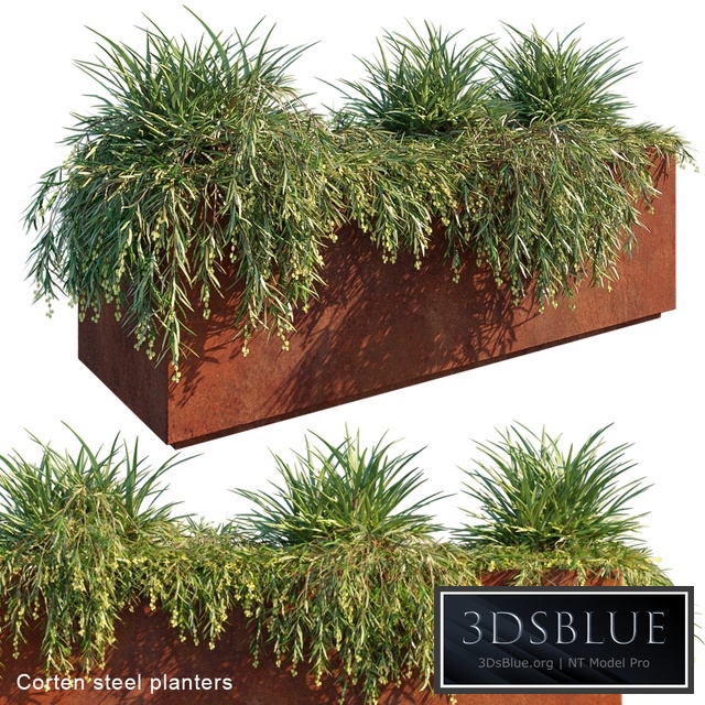 Corten Steel Planters