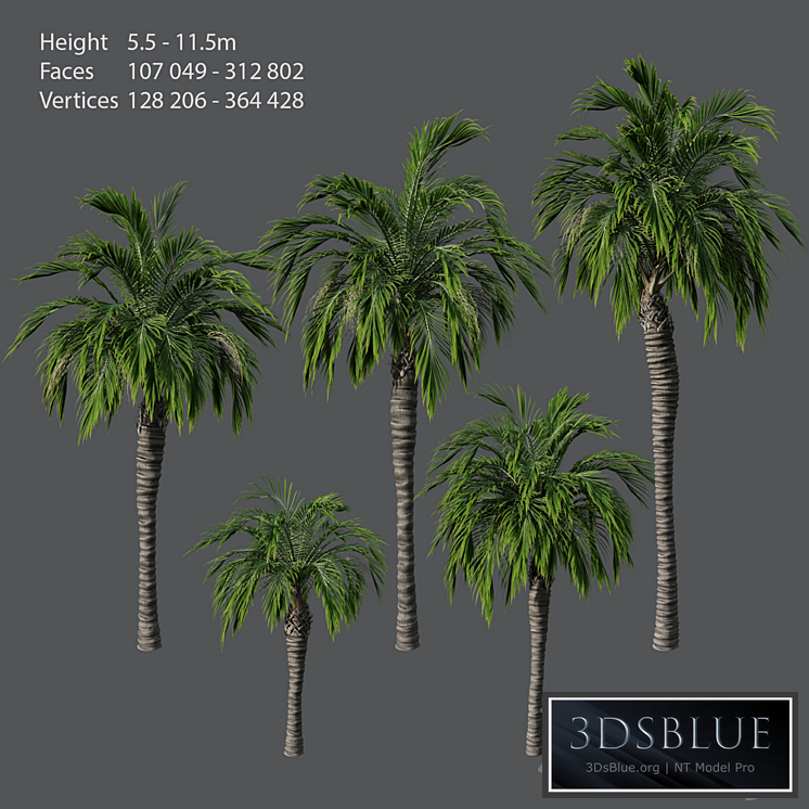 Set of palm trees
