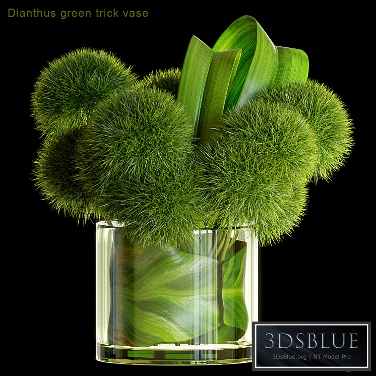 Dianthus green trick vase