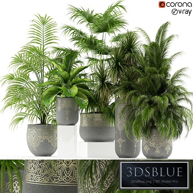 Plants collection 147 handmade pots East style