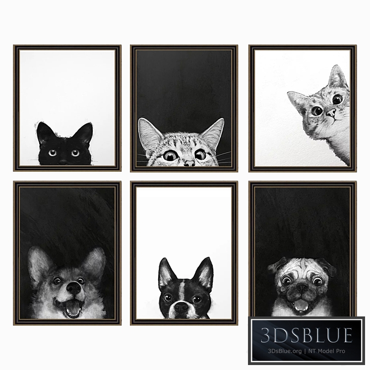 LAURA GRAVES BLACK AND WHITE | set 25