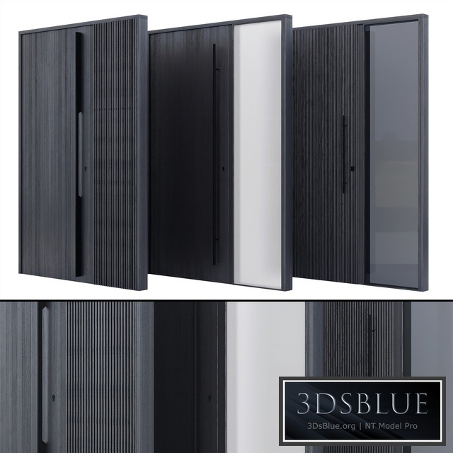 Modern entrance door