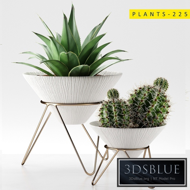 plants 225