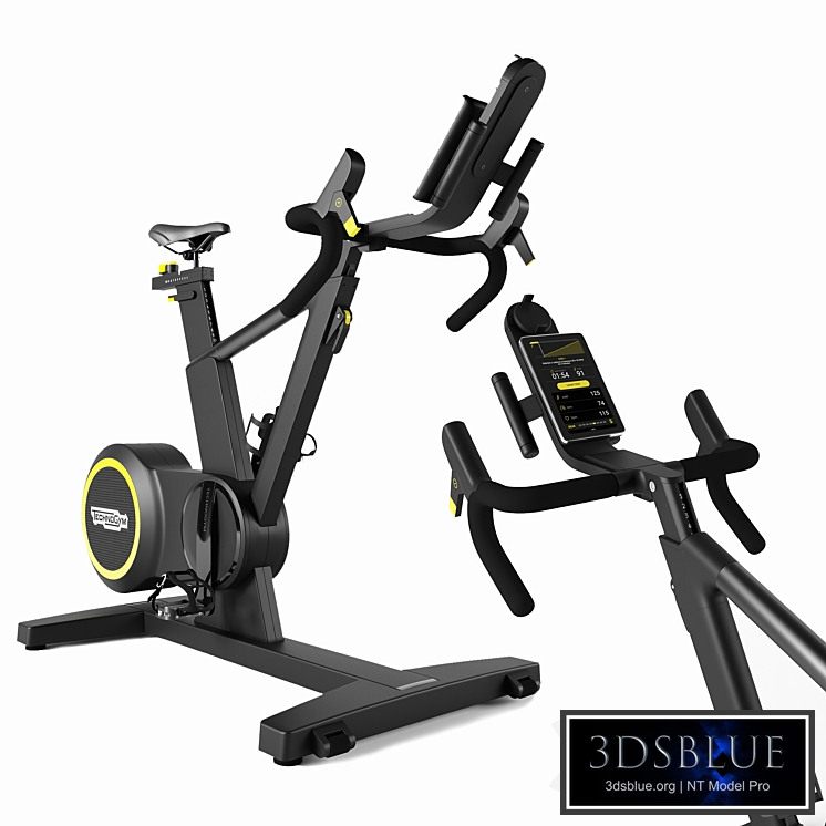 Technogym SKILLBIKE