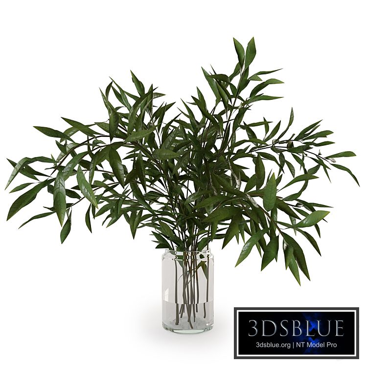 Branches in a vase 007