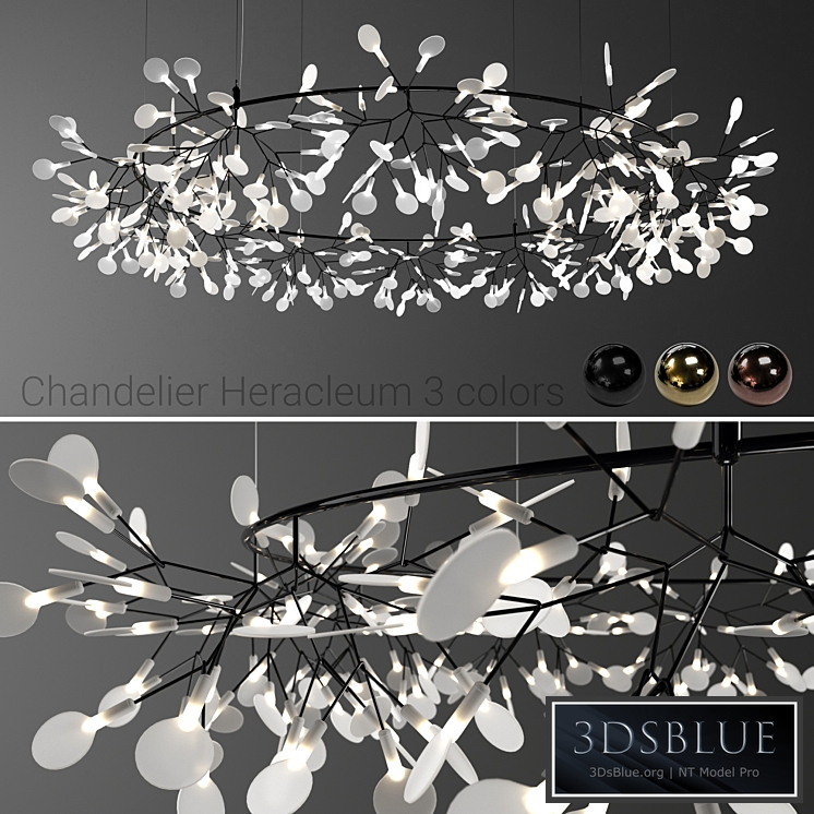 Moooi Heracleum the Big O