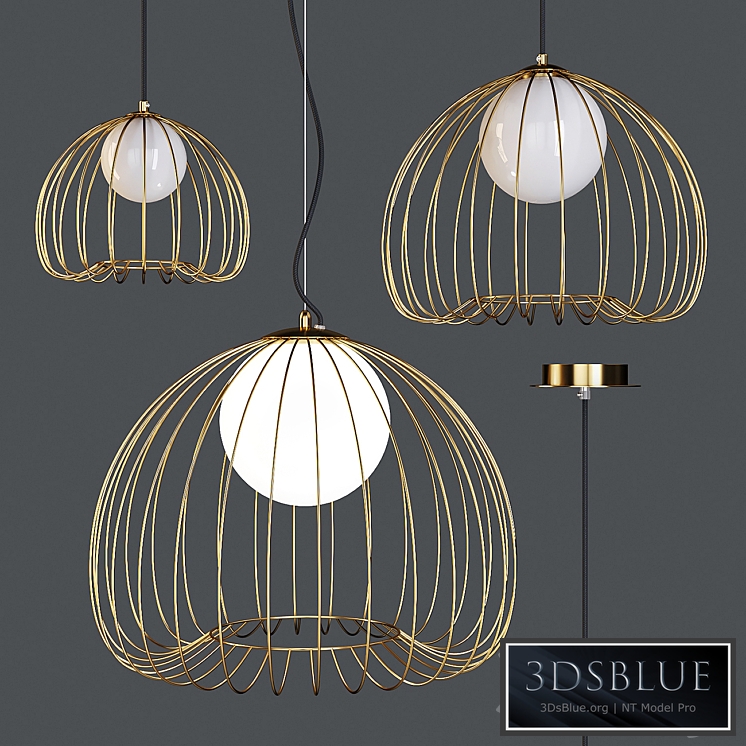 Maytoni: Pendant Lamp - Polly (MOD541-542-543)